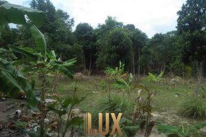 LUX-5961-3