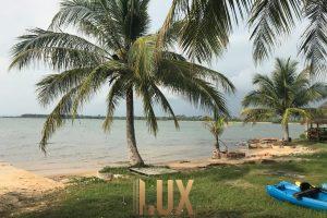 LUX-44190-24