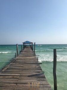 IMAGE 2023-11-03 11:04:51