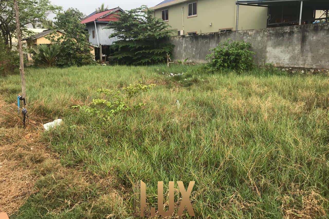 LUX-41041-2
