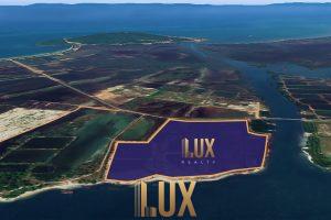 LUX-44756-1