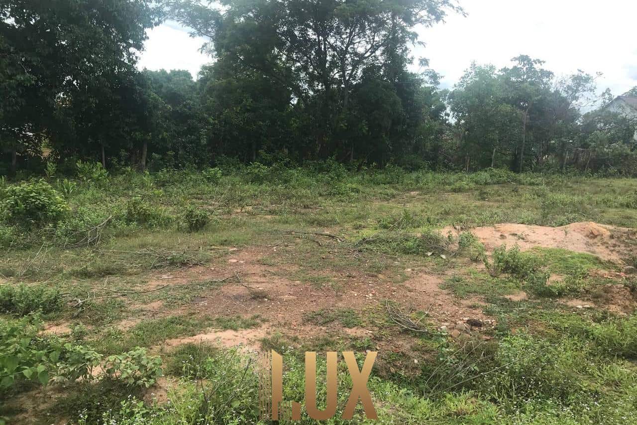 LUX-45968-2
