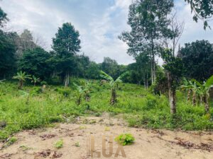 The land a beautiful piece of wild Kep hillside for Sale