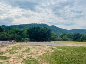 The Flat and Mostly Grassy land for Sale in Kep