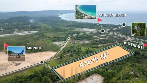 msg-4065917579-90099