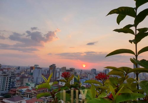 Beautiful 1 Bedroom apartment in Toul Tom Poung