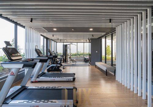 477475543 1188450229666262 4852621613632714982 n