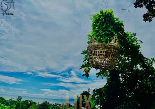 5 Star Resort for sale on the coast of Kep