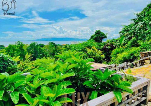 5 Star Resort for sale on the coast of Kep