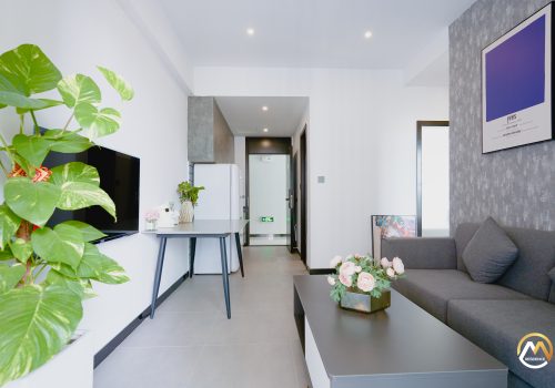 Brand New Condominium for rent in BKK1