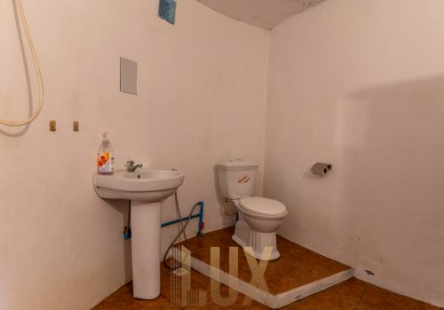 DSC07626