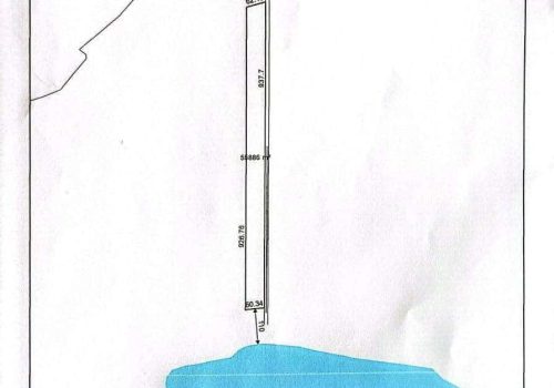 IMAGE-2023-02-04-074430