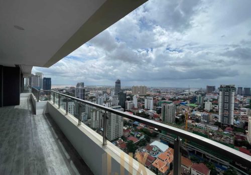 IMAGE 2023-07-11 09:39:33