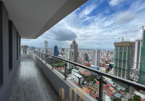 IMAGE 2023-07-11 09:39:38