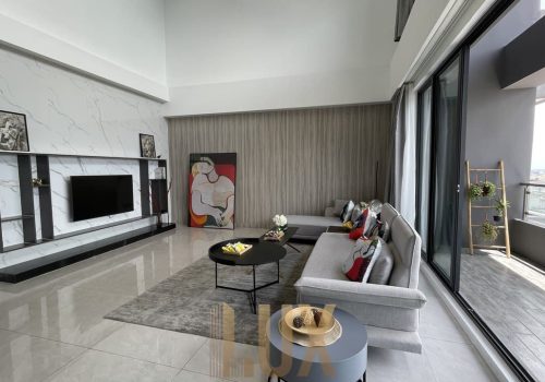 IMAGE 2023-07-11 10:08:57