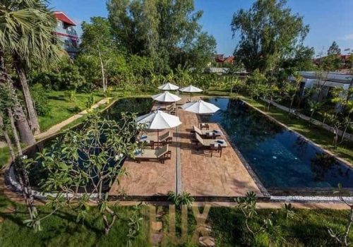 IMAGE 2023-10-10 08:44:54