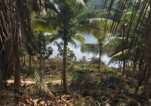 IMAGE 2023-11-03 11:04:21