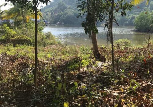 IMAGE 2023-11-03 11:04:26