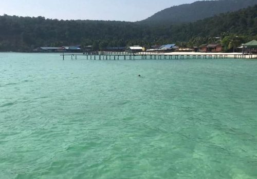 IMAGE 2023-11-03 11:04:33