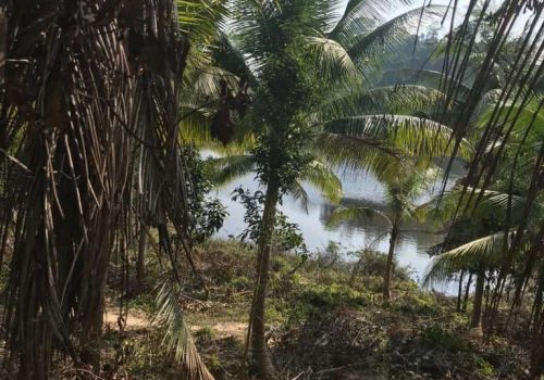 IMAGE 2023-11-03 11:04:39