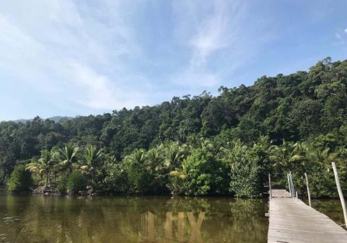 IMAGE 2023-11-03 11:04:42