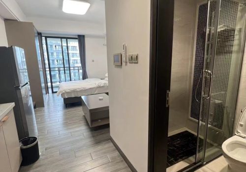 Great One Bedroom Condo For Sale In Sihanouk Ville