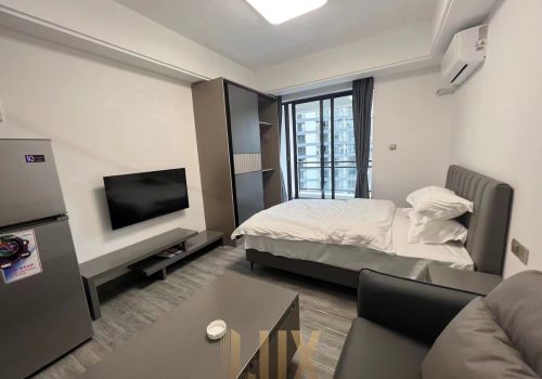 Great One Bedroom Condo For Sale In Sihanouk Ville