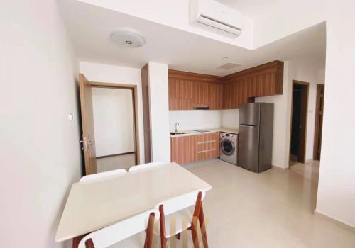 Modern Condo 2 Bedrooms For Sale Near Orussey Market