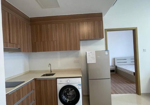 Modern Condo 2 Bedrooms For Sale Near Orussey Market