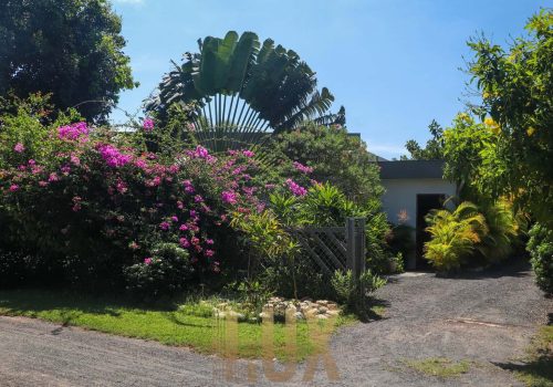 IMG 0827 - Copy