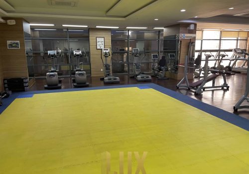 Pnhom Penh, De Castle Royal Condominium For Sale In BKK1