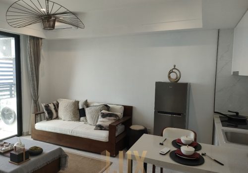 One Bedroom luxury Condo for sale in Sihanouk Ville