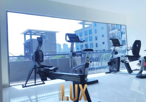 LUX-1383-17