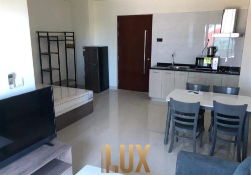 LUX-1383-23