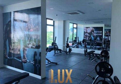 LUX-1383-25