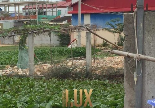 LUX-35379-1