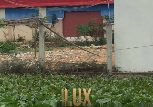 LUX-35379-5