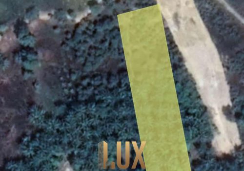 LUX-43976-1