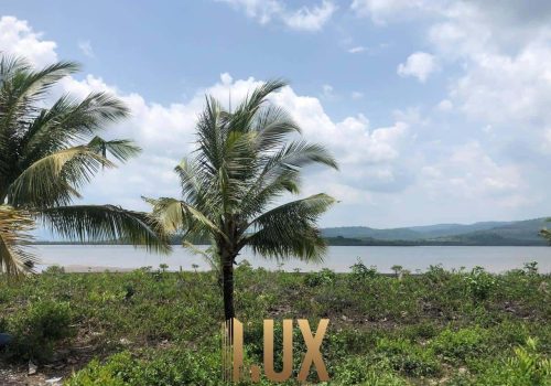 LUX-44112-11