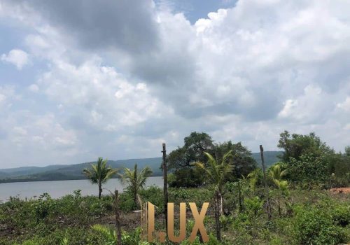 LUX-44112-12