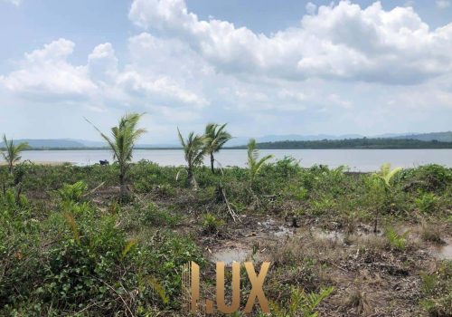 LUX-44112-13