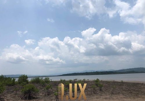 LUX-44112-17