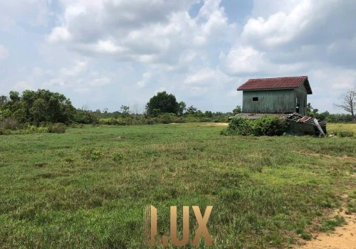 LUX-44144-11