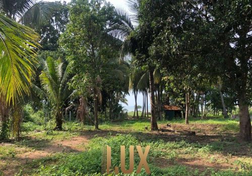 LUX-44144-18