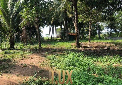 LUX-44144-19