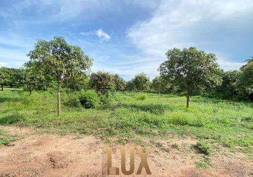 LUX-45898-2