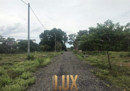 LUX-46006-6