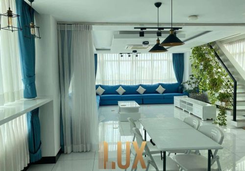 LUX-46317-1
