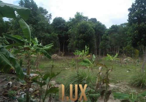 LUX-5961-3