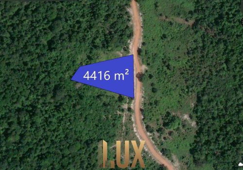 LUX-5961-5
